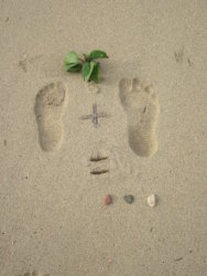 Deux pieds sur le sable