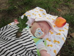 Composition florale et fruitire ralise par Kristel